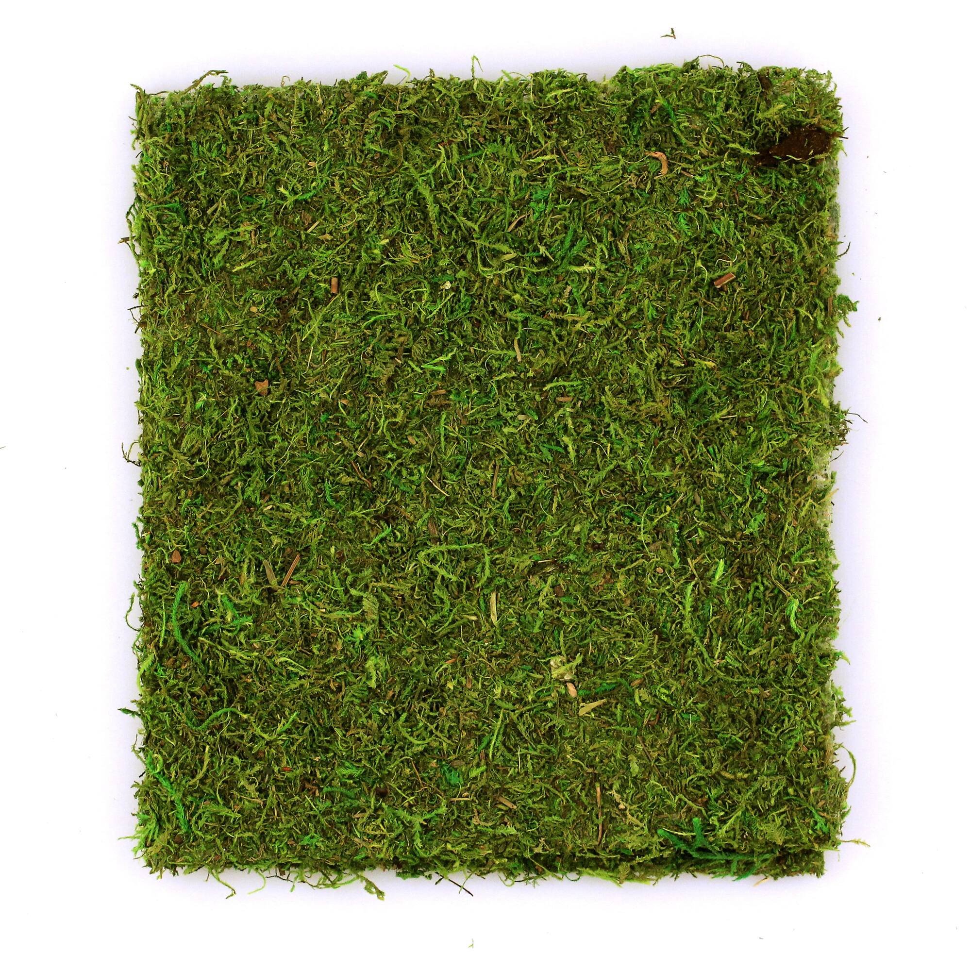 SuperMoss® Instant Green All-Purpose Moss Mat